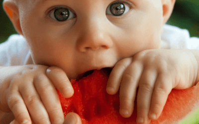 Conoce los beneficios del Baby Led Weaning