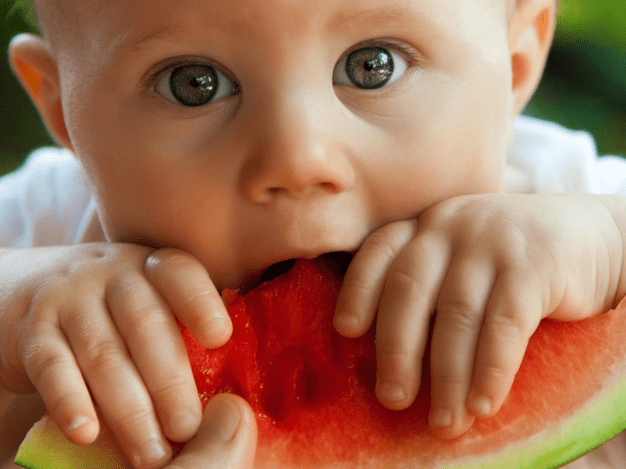 Baby Led Weaning